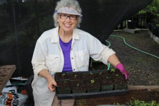 Another tray of seedlings. Photo by J.B. Friday