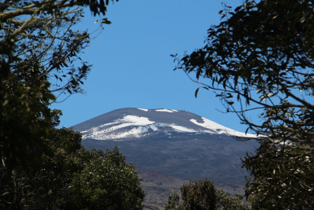 Snowy pu'u on Mauna Kea as seen from the Refuge. Photo by J. B. Friday