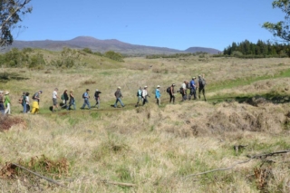 A bird tour departs for Hakalau Forest. Photo by Rob Shallenberger