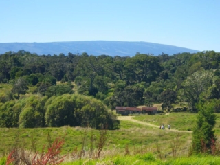 A stroll to the koa cabin, photo by J. B. Friday