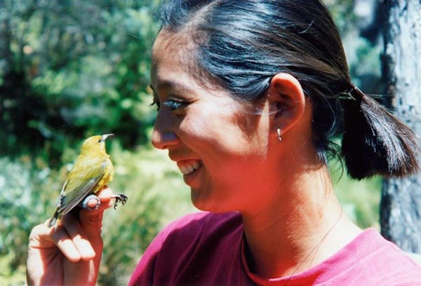 Yvonne with 'amakihi | HawaiI Endangered Birds
