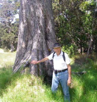 Dieter Mueller-Dombois and large ohia | Island Conservation Hawaii