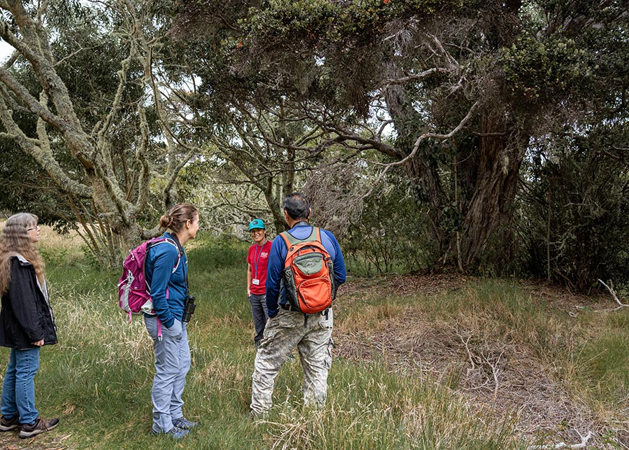 Walk For The Wild | Friends of Hakalau Forest National Wildlife Refuge