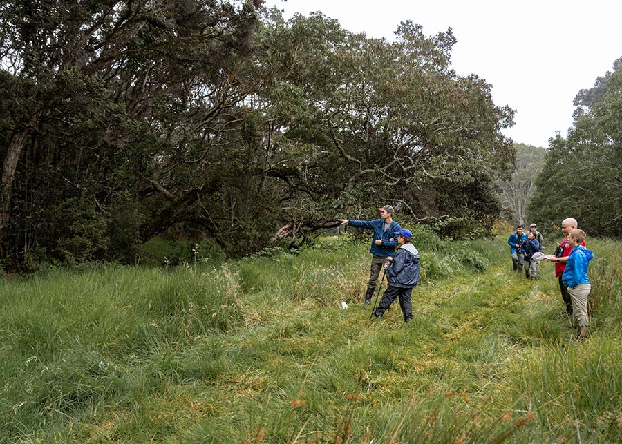 Walk For The Wild | Friends of Hakalau Forest National Wildlife Refuge