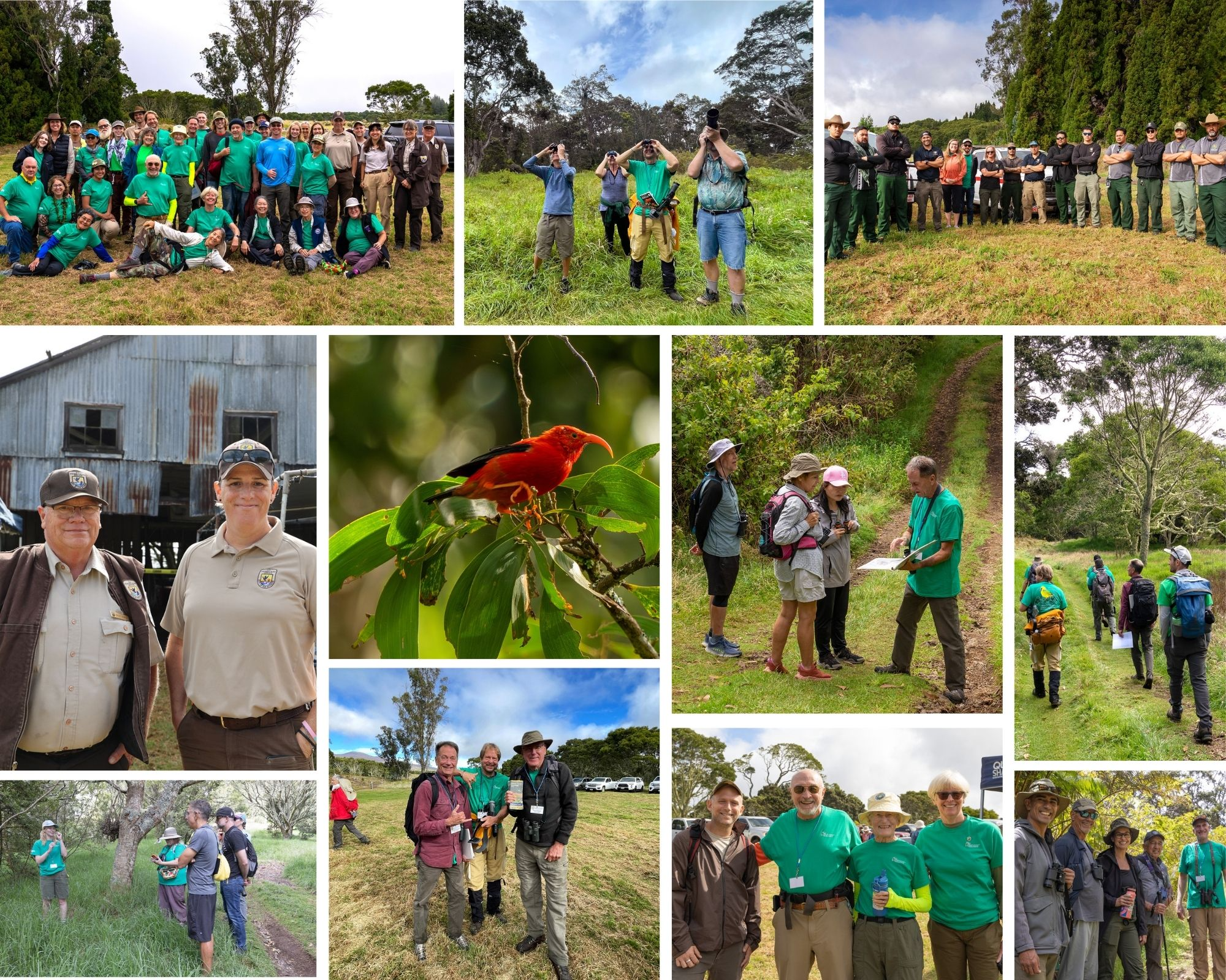 2024 Walk for the Wild Collage