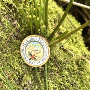 Pin New *Limited Edition* 40th Anniversary Hakalau Forest!