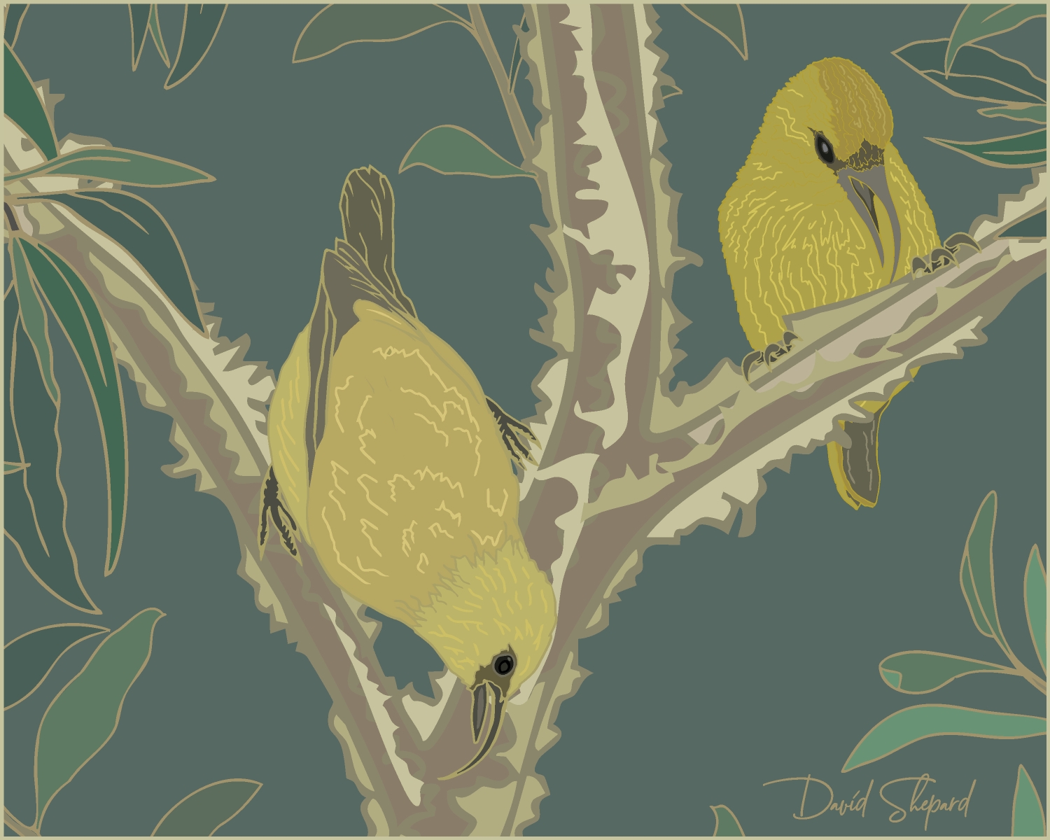 Pareau-Hakalau Forest NWR x David Shepard Hawai'i Collaboration + FREE Print - Image 5