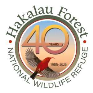 Group of 14 volunteers standing on the trail they cleared at Hakalau Forest in May 2024